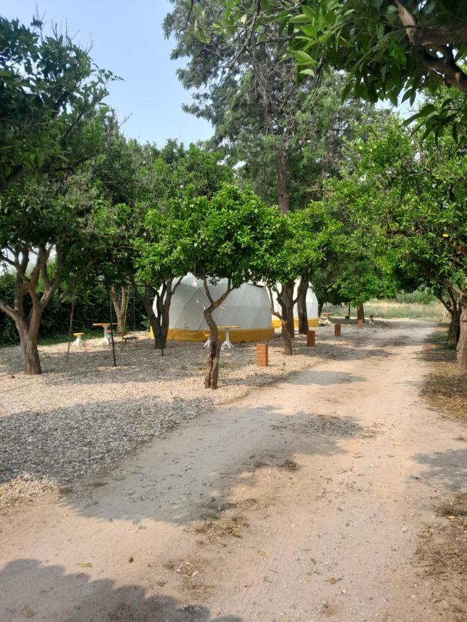 Pateo Das Laranjeiras Tomar Dış mekan fotoğraf