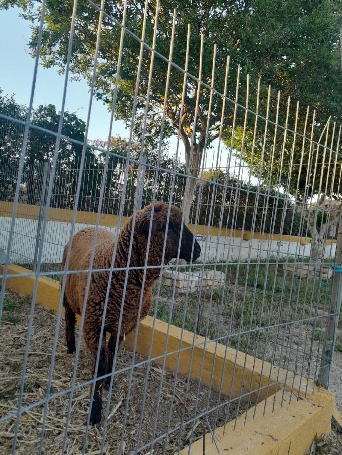 Pateo Das Laranjeiras Tomar Dış mekan fotoğraf