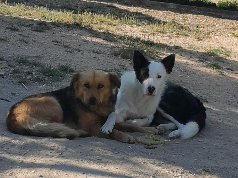 Pateo Das Laranjeiras Tomar Dış mekan fotoğraf